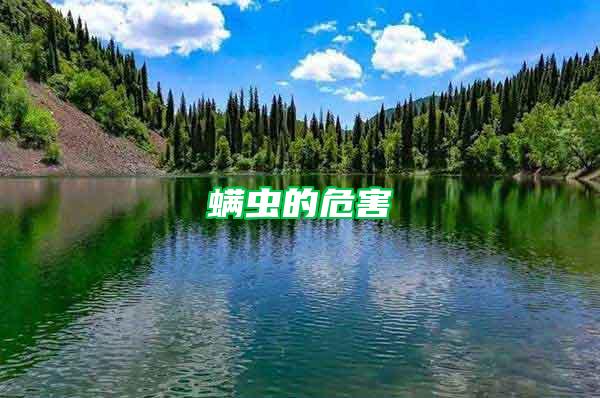 螨蟲的危害