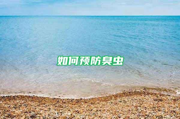 如何預(yù)防臭蟲
