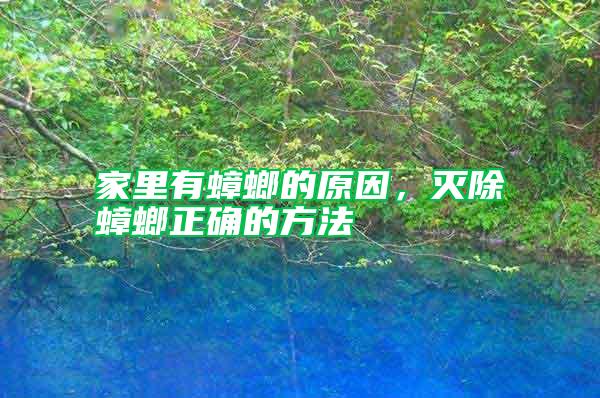 家里有蟑螂的原因，滅除蟑螂正確的方法