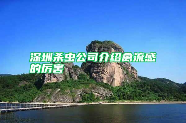 深圳殺蟲公司介紹禽流感的厲害