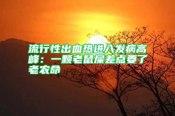 流行性出血熱進(jìn)入發(fā)病高峰：一顆老鼠屎差點(diǎn)要了老農(nóng)命