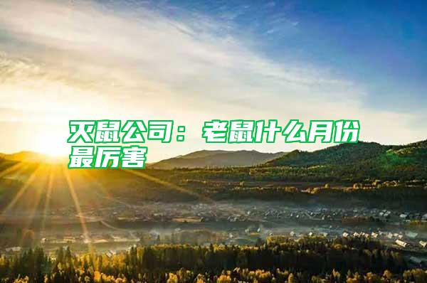 滅鼠公司：老鼠什么月份最厲害