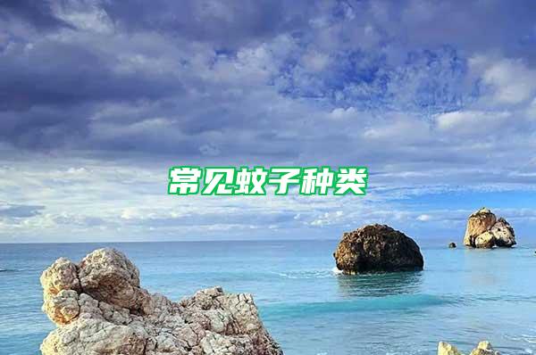 常見蚊子種類