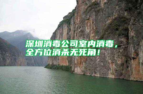 深圳消毒公司室內消毒，全方位消殺無死角！