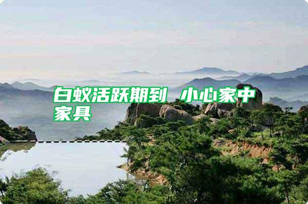 白蟻活躍期到 小心家中家具