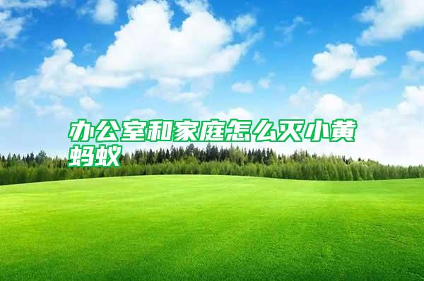 辦公室和家庭怎么滅小黃螞蟻