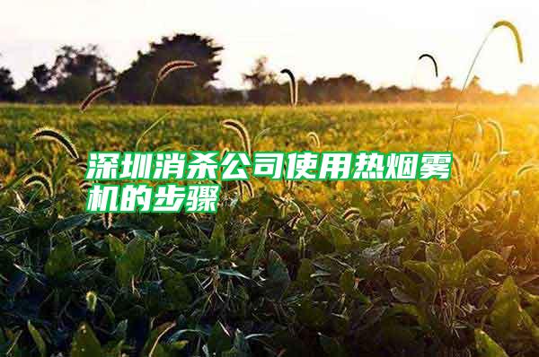 深圳消殺公司使用熱煙霧機的步驟