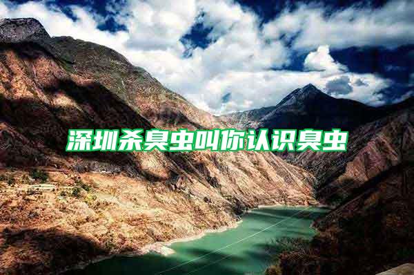 深圳殺臭蟲(chóng)叫你認(rèn)識(shí)臭蟲(chóng)