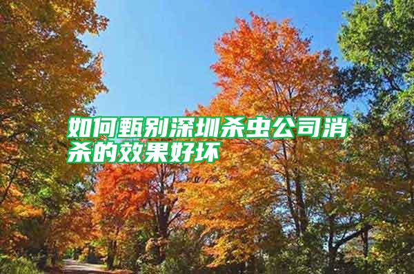 如何甄別深圳殺蟲公司消殺的效果好壞