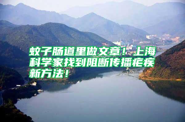 蚊子腸道里做文章！上?？茖W(xué)家找到阻斷傳播瘧疾新方法！