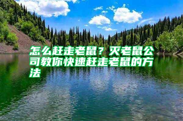 怎么趕走老鼠？滅老鼠公司教你快速趕走老鼠的方法