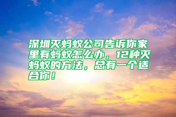 深圳滅螞蟻公司告訴你家里有螞蟻怎么辦，12種滅螞蟻的方法，總有一個適合你！