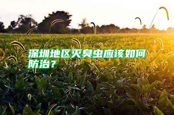 深圳地區(qū)滅臭蟲應(yīng)該如何防治？