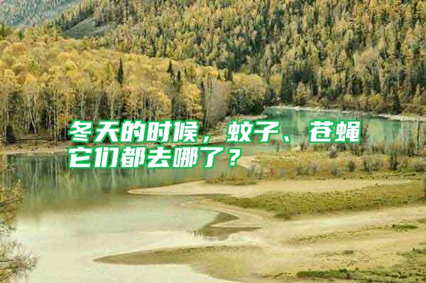 冬天的時(shí)候，蚊子、蒼蠅它們都去哪了？