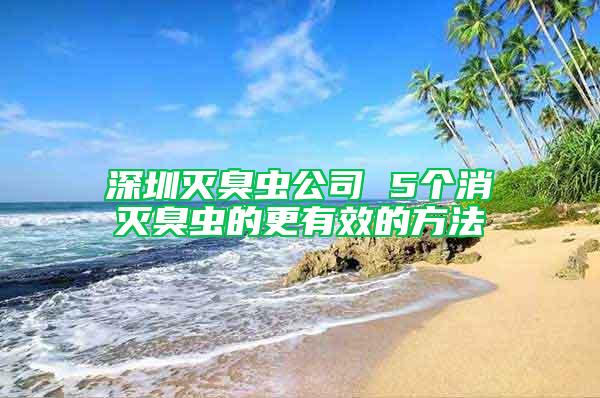 深圳滅臭蟲公司 5個消滅臭蟲的更有效的方法