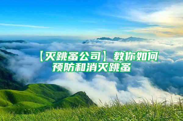 【滅跳蚤公司】教你如何預(yù)防和消滅跳蚤