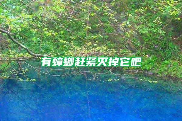 有蟑螂趕緊滅掉它吧