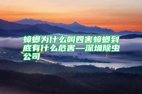 蟑螂為什么叫四害蟑螂到底有什么危害—深圳除蟲公司