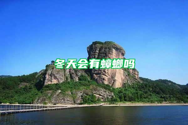 冬天會有蟑螂嗎