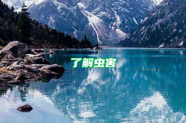 了解蟲害