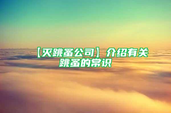 【滅跳蚤公司】介紹有關(guān)跳蚤的常識(shí)