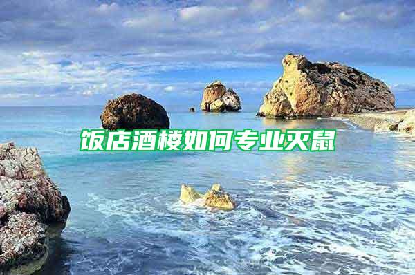 飯店酒樓如何專業(yè)滅鼠