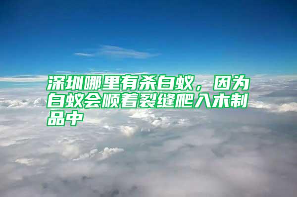 深圳哪里有殺白蟻，因為白蟻會順著裂縫爬入木制品中
