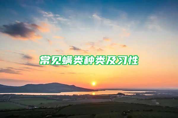 常見螨類種類及習(xí)性