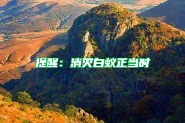 提醒：消滅白蟻正當(dāng)時