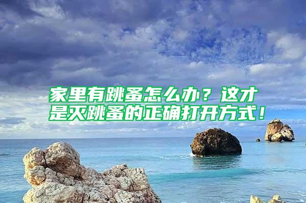 家里有跳蚤怎么辦？這才是滅跳蚤的正確打開方式！