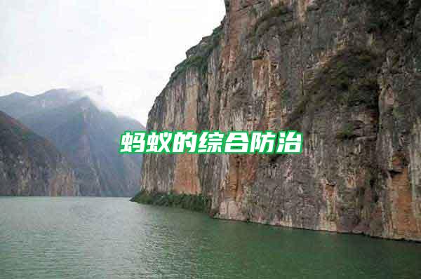 螞蟻的綜合防治