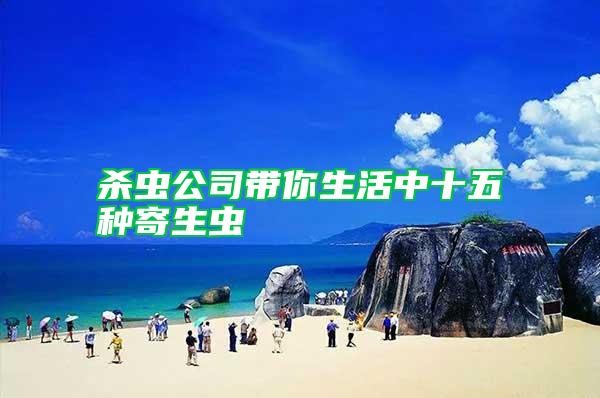 殺蟲公司帶你生活中十五種寄生蟲