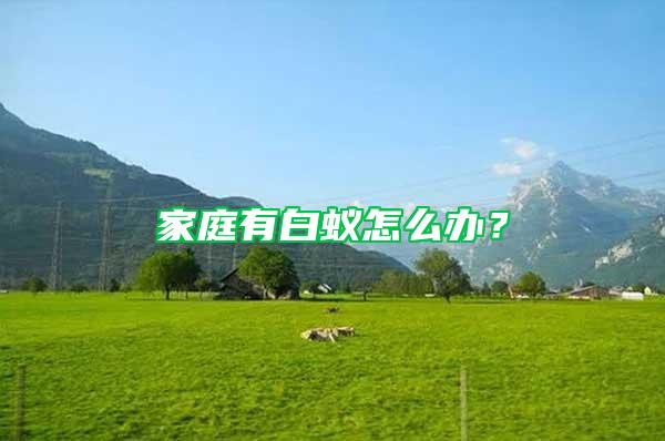 家庭有白蟻怎么辦？