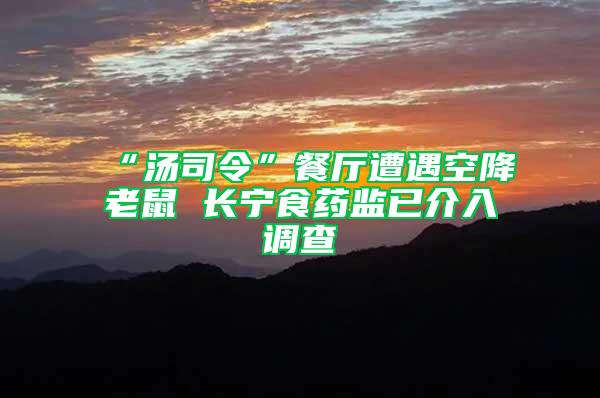 “湯司令”餐廳遭遇空降老鼠 長(zhǎng)寧食藥監(jiān)已介入調(diào)查