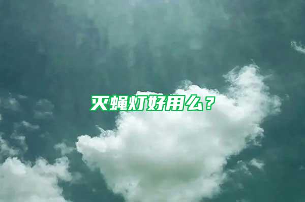 滅蠅燈好用么？