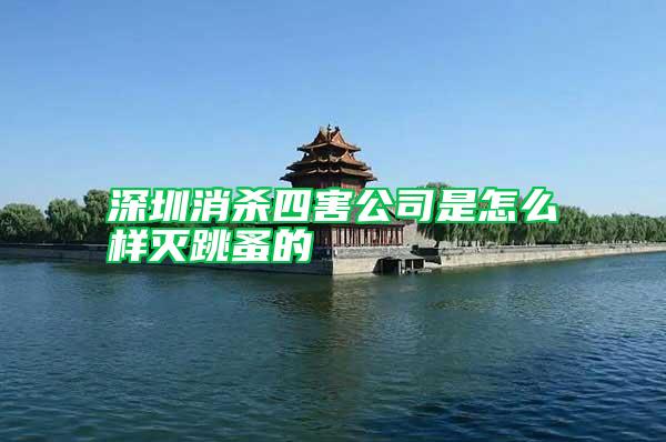 深圳消殺四害公司是怎么樣滅跳蚤的