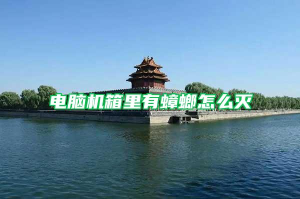 電腦機(jī)箱里有蟑螂怎么滅