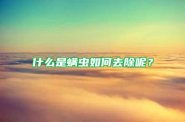 什么是螨蟲如何去除呢？