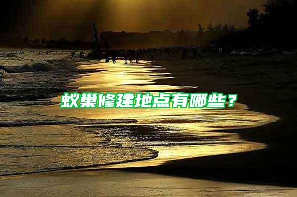 蟻巢修建地點有哪些？