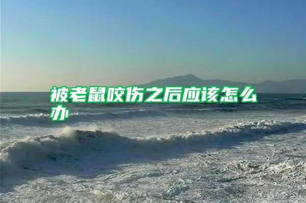 被老鼠咬傷之后應該怎么辦