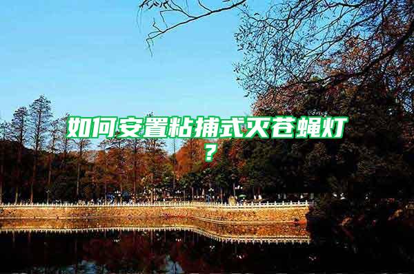 如何安置粘捕式滅蒼蠅燈？