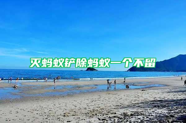 滅螞蟻鏟除螞蟻一個(gè)不留
