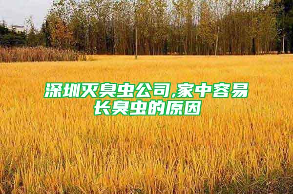 深圳滅臭蟲公司,家中容易長(zhǎng)臭蟲的原因
