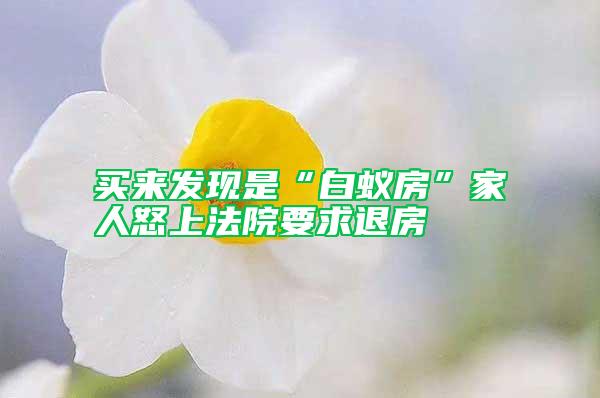 買來發(fā)現(xiàn)是“白蟻房”家人怒上法院要求退房
