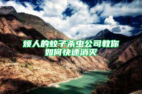 煩人的蚊子殺蟲公司教你如何快速消滅