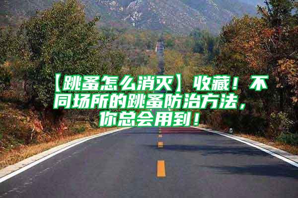 【跳蚤怎么消滅】收藏！不同場所的跳蚤防治方法，你總會用到！