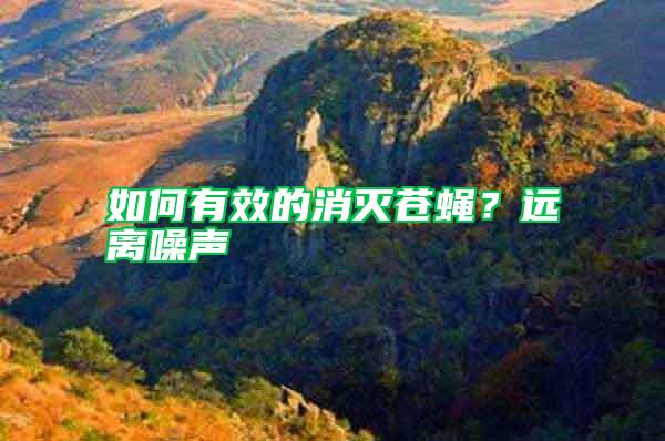 如何有效的消滅蒼蠅？遠(yuǎn)離噪聲