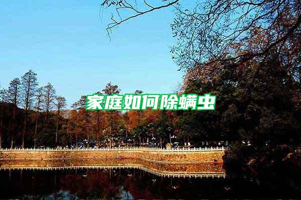 家庭如何除螨蟲(chóng)