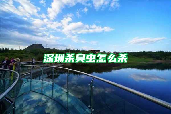 深圳殺臭蟲(chóng)怎么殺