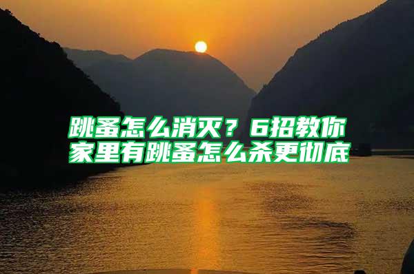 跳蚤怎么消滅？6招教你家里有跳蚤怎么殺更徹底